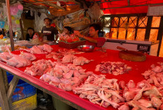 Pasar Kaget Bentiring, Penjualan Ayam Potong Laris Manis