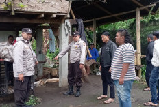 Disamber Petir, Seorang Petani Alami Luka Bakar, 2 Ekor Anjing Mati
