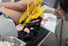 Pulang Pesta, Kades Padang Genteng Bersimbah Darah