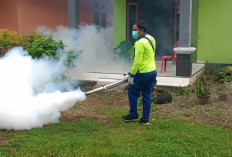 49 Kasus DBD, Dinkes Kabupaten Kepahiang Fogging 13 Titik Lokasi DBD 8 Kecamatan