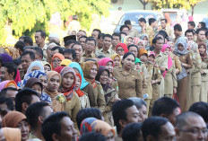 TPP ASN Pemprov Bengkulu Bakal Naik Drastis, Dihitung Sesuai Standar Hidup di Jakarta