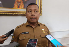 Tahun Ini Gagal, Sirkuit   Dibangun Tahun Depan