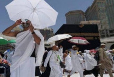 Suhu Panas Arab Saudi  Capai 51,8 derajat Celcius  Tewaskan Ribuan Jiwa  Jemaah Haji, 
