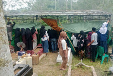 Diduga Sebar Fitnah, 7 Akun Medsos Dilaporkan ke Polda Bengkulu 