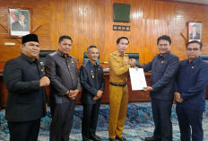 DPRD Kaur Ajak Masyarakat Dukung   Perda Penertiban Hewan Ternak