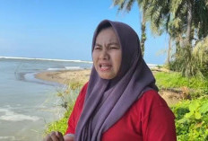  Abrasi Pantai Pondok Kelapa Semakin Mengancam