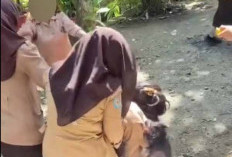 Siswi SMA di Bengkulu Dihajar Kakak Kelas,  Alami Luka dan Trauma Berat