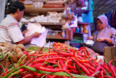 Cabai Makin Pedas, Sekarang Harganya Nyaris Tembus Rp 100 Ribu per kg