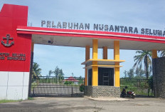 DKP Seluma Surati Gubernur, Minta   Peningkatan Status Pelabuhan