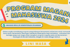 Kemenkeu Buka Program Magang Periode 3, Ini Syarat, dan Cara Mendaftarnya  