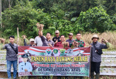 Pemdes Kelindang Atas   Rancang Bisnis Bawang Goreng