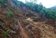  Pembebasan Jalan Baru di Lebong   Terkendala Ini