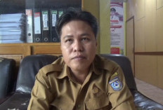  PPPK Paruh Waktu di Bengkulu Utara   Tinggal Tunggu Penetapan Ini