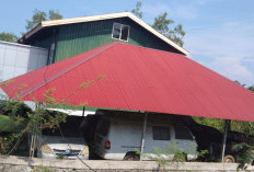  Giliran Mobnas di Mukomuko Bakal Dilelang