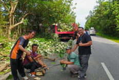 Wabup Yevri Pimpin Aksi Jumat Bersih, Uji Coba Langsung Mobil Sampah Baru di Padang Panjang