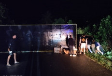 Truk Terbalik di Jalur Lintas Simpang Kedurang, Sopir Dilarikan ke Rumah Sakit, Macet Panjang Tak Terhindarkan