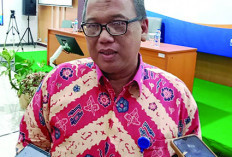 NTP Perkebunan Rakyat Meningkat, Begini Penjelasan Kepala BPS Provinsi Bengkulu