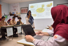  SE Mendikdasmen Jadi Angin Segar, Guru Non-ASN Dipastikan Tetap Mengajar dan Digaji, Ini Penjelasannya 