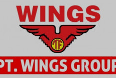 Wings Group Buka Lowongan Kerja Bagi D3  Hingga S1  Untuk Lima Posisi Ini, Cek Kualifikasi  