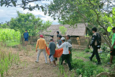 Tewas di Pondok Sawah, Ini Saksi yang Pertama Kali Melihat Korban