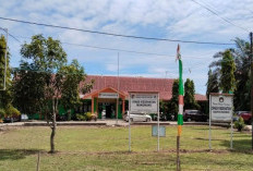  Serangan Penyakit DBD di Mukomuko Meningkat , Segini Jumlah Korbannya