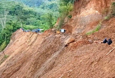  Pembebasan Lahan Jalan   Baru di Lebong Terkendala Ini