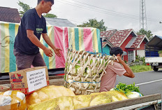 Pengepul Bantu Sayuran ke Lokasi Banjir di Daerah Ini