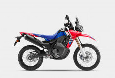  Hadirkan Sensasi Petualangan Baru, CRF250 Series Siap Jelajahi Indonesia