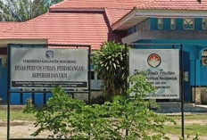  Gas Elpiji Bersubsidi di Mukomuko Aman, Segini Harganya