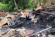 Sijago Merah Ngamuk di Benteng, Rumah Warga Taba Teret Ludes Terbakar
