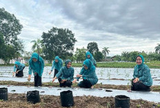 PKK Ajak Manfaatkan Pekarangan  dengan Melakukan Ini