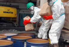  Kementerian Lingkungan Hidup Musnahkan 494 peti Berisi 5 Ton Udang  Terkontaminasi Zat Radioaktif