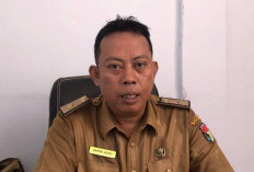  Ini Tujuan Kota Pagar Alam Belajar ke Disdikbud Mukomuko