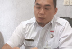 Aset Menganggur Disulap jadi PAD, Pemkab Kepahiang Lelang 38 Kendaraan Dinas