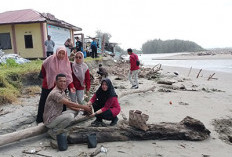 Abrasi di Benteng Meluas, Gedung Konservasi Penyu dan 15 Rumah Warga Ambruk