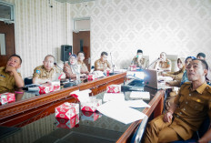  Pemkab Rejang Lebong  Siapkan Lelang 88 Kernas, Ini Jadwalnya