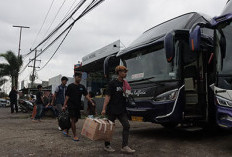 Tarif Bus Dilarang Naik, Menjelang Natal Hingga Tahun Baru