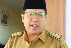DPK Terus Tingkatkan IPLM, Begini Keterangan Kepala Dinas Perpustakaan dan Kearsipan Provinsi Bengkulu
