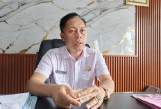  Segini Jumlah Potensi Pajak Parkir di BU 