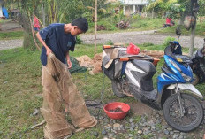 Nelayan Mangkudum Butuh Peralatan, Begini Respon Kadis Perikanan BS