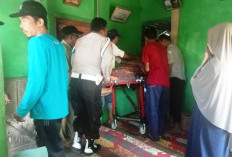 Niat Panen Sawit, Petani   Kaur Meninggal Dunia