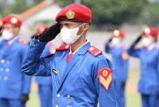 Seleksi Sekolah Kedinasan 7 Kementerian Dibuka, Kuota 3.252 Formasi, Ini Jadwal Lengkapnya