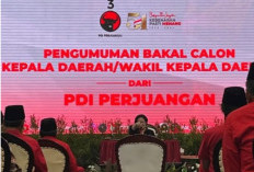 Pilkada 2024, PDIP Usung Cagub di 13 Provinsi, Berikut Daftarnya