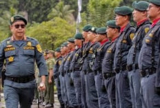 Kabar Baik! Kementerian Kehutanan Bakal Rekrut 23 Ribu Polisi Hutan, Ini Alasan dan Target Besarnya