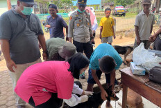 Pemberian Vaksin HPR Belum Penuhi Target, Capaiannya 800 Ekor 