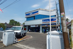 BRI Curup Tegaskan Komitmen Bongkar Kasus KUR Fiktif, Begini Tujuannya