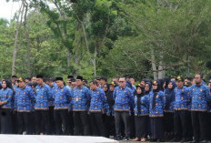  Ini Syarat ASN di Mukomuko untuk Pindah Tugas
