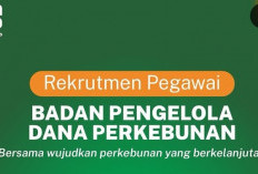 Badan Pengelola Dana Perkebunan Buka Lowongan Kerja, Untuk 16 Posisi Strategis, Ini Daftar dan Syaratnya 