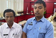 Penuhi Kebutuhan Dapur MBG,   Harga Telur di Seluma Naik