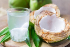 Menyegarkan,Ini  Khasiat Minum  Air Kelapa Saat Cuaca Panas 